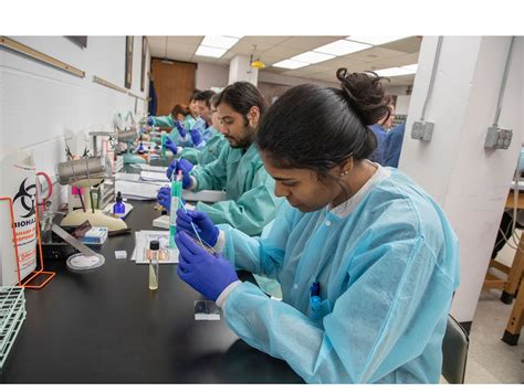clinical laboratory scientist degree programs