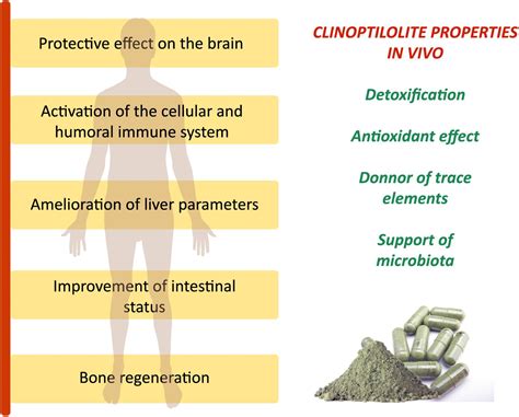 Clinoptilolite Safety