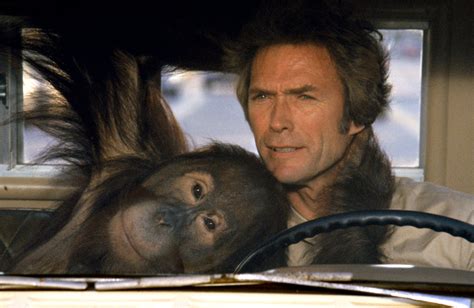 clint eastwood every which way but loose