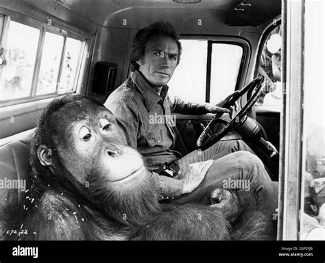 clint eastwood movie with clyde the orangutan