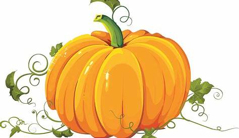 Pumpkin PNG Image - PurePNG | Free transparent CC0 PNG Image Library