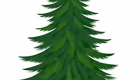 Download Pine Tree Cartoon Png Clip Art Image - Cartoon Pine Tree Png