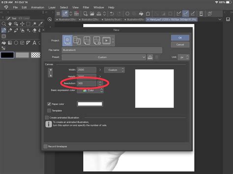 Clip Studio Dpi
