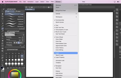 Clip Studio Paint Layer Limit Ipad