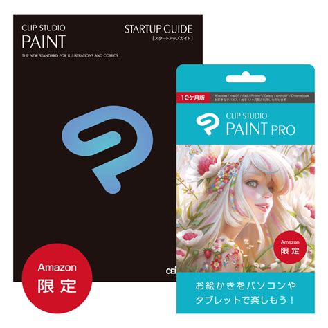 Clip Studio Paint Pro Size