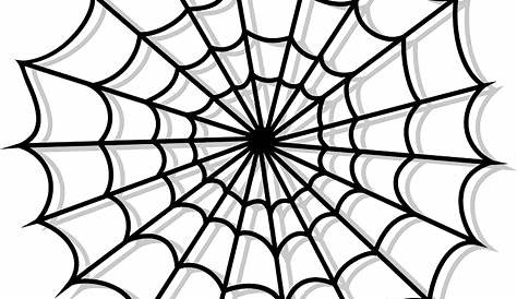 Spider Web Clipart Without Background