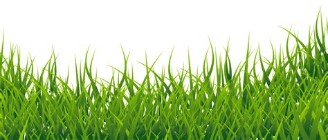 Clipart Grass