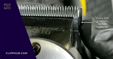 Clipper Blade Distance