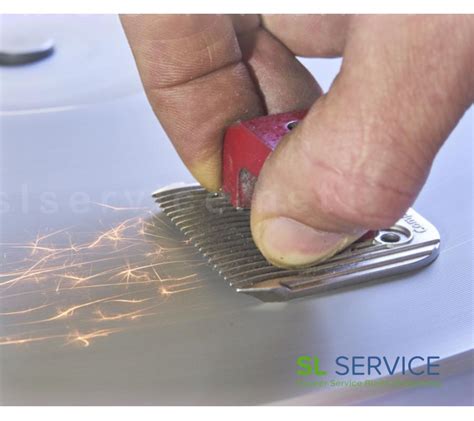 Clipper Blade Service