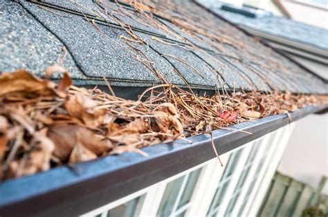 clogged gutter cleaning