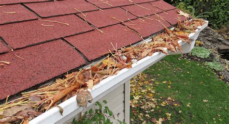 clogged gutter debris