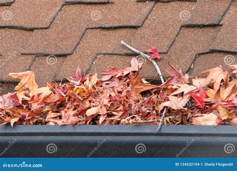 clogged gutter leaves