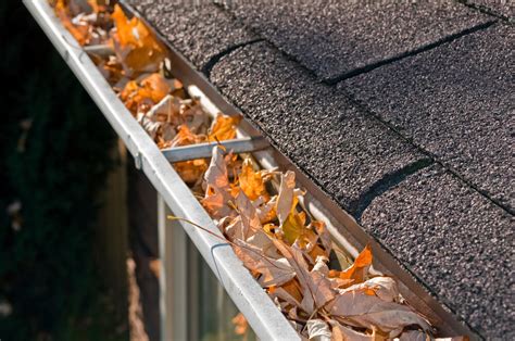 clogged gutter problems