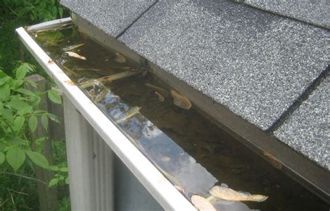clogged rain gutter