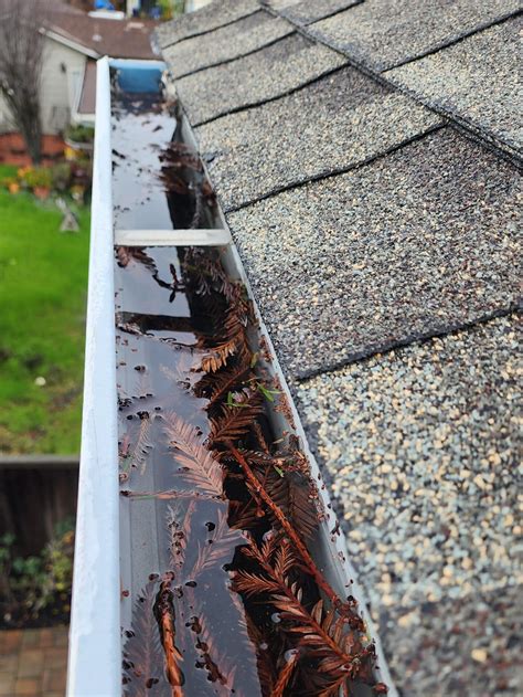 Clogged Rain Gutter San Jose