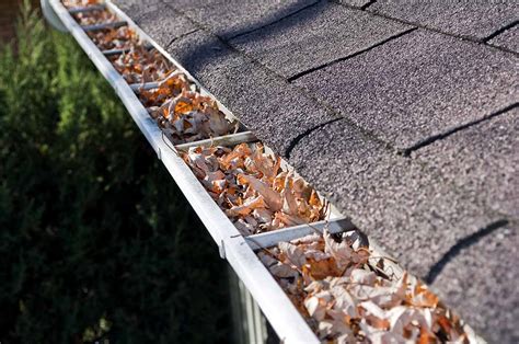 clogged rain gutters