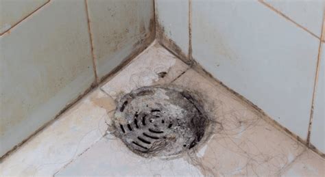 Clogged Shower Drain Calcium