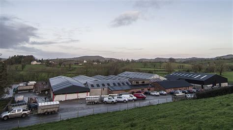 Photos Clogher Mart Live Streaming Latest