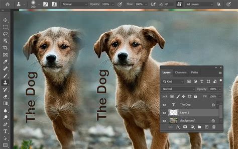 Clone Stamp Sample in Photoshop