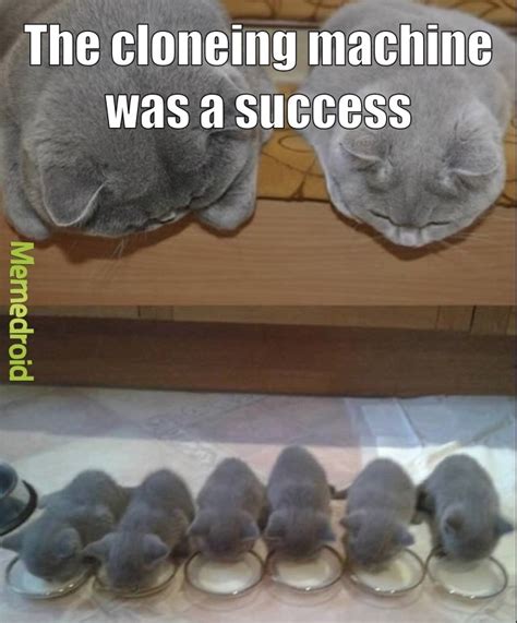 Cloning Machine Meme