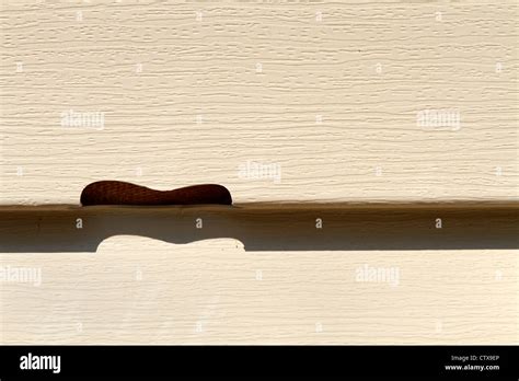 Close up of damaged siding