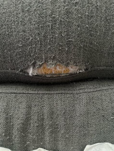 Close up of frayed sofa seam