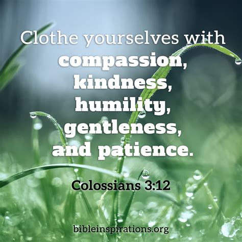 Clothes Yourselves With Compassion