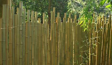 Clôture bois en 2020 Cloture bambou, Clôtures de jardin