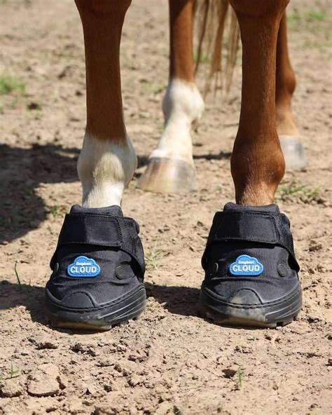 Cloud Boots Equine: Essential Guide for Equestrian Comfort and Style