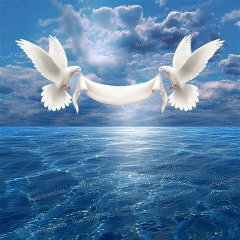 clouds doves onlyfans