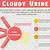 cloudy urine in women causes