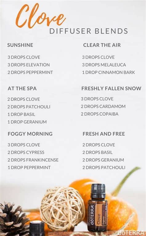 Clove Essential Oil Diffuser Recipes