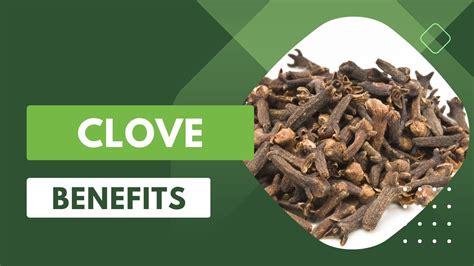 Cloves For Kidney Patients