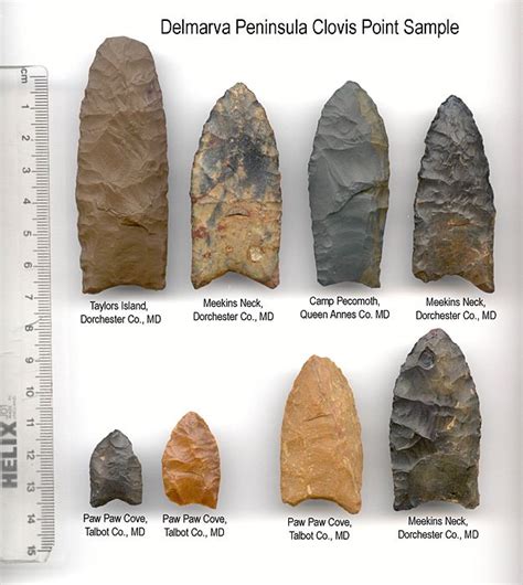 clovis point vs arrowhead