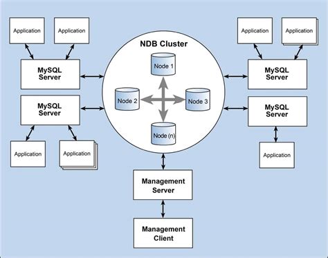 cluster database examples