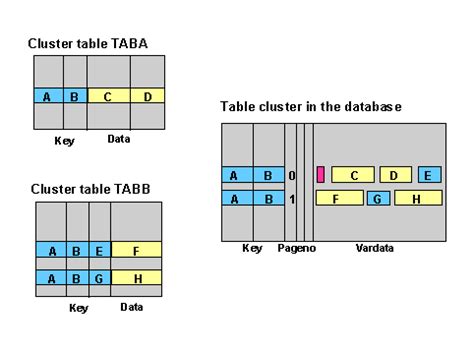 Cluster Table And Pooled Tables In Sap