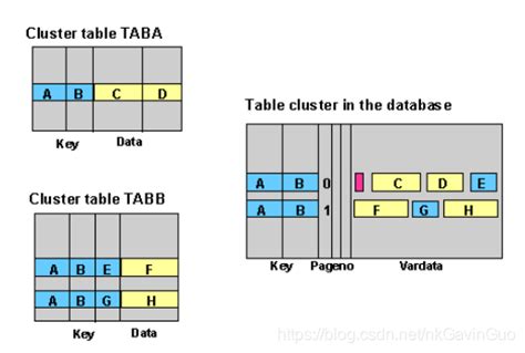 cluster table in sap abap example