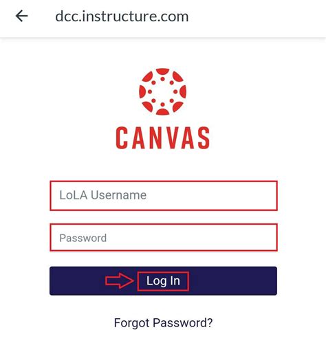 cmc canvas log in