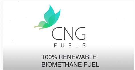 cng fuels logo
