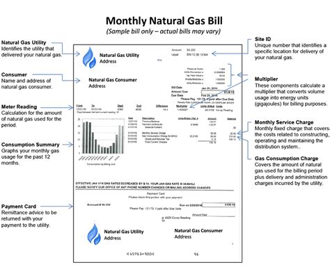 cng gas online payment