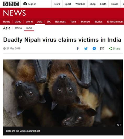 cnn breaking news nipah virus