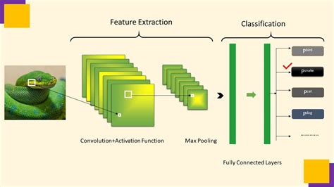cnn full form in machine learning with example