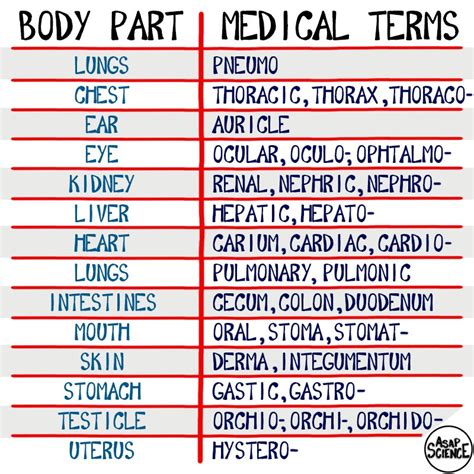 co in medical terms
