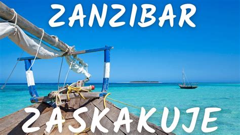 co to jest zanzibar