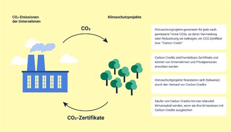 co2 kompensation aufforstung