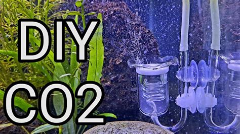 Co2 Setup For Planted Aquarium