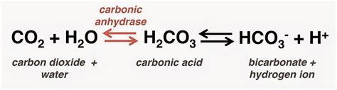co2 to carbonic acid equation