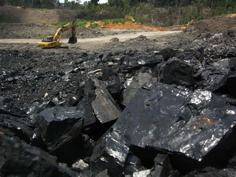 coal production in indonesia