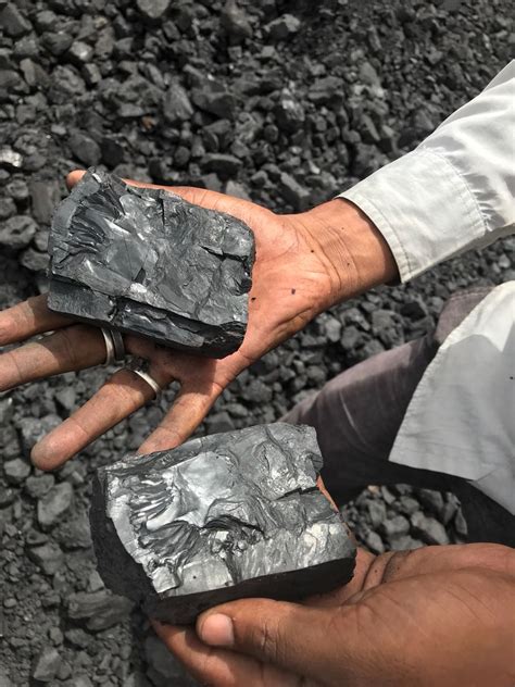 coal supplier in indonesia