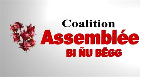 Coalition Assemblée bi ñu bëgg en caravane Le programme de législature